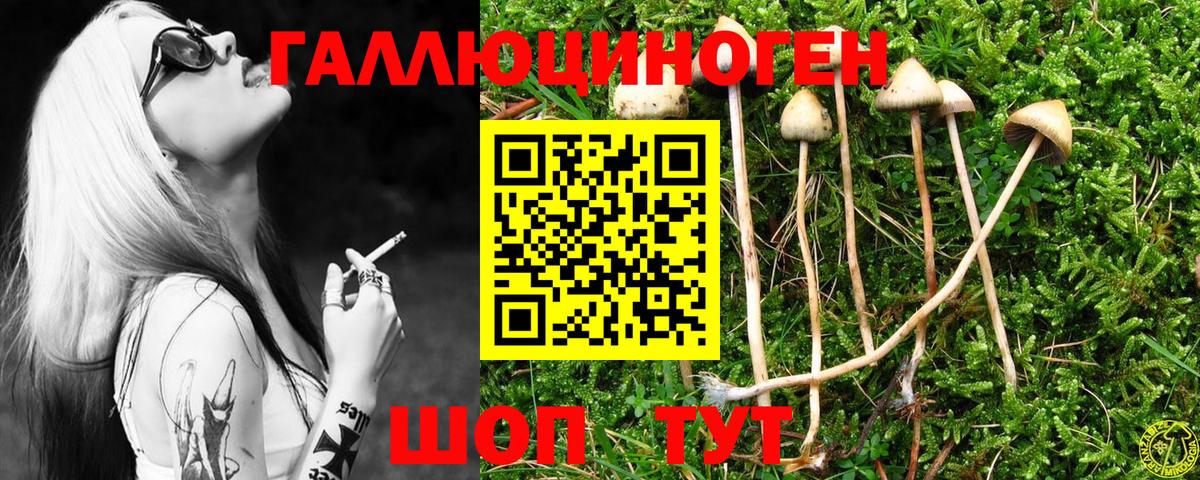 Сочи  Галлюциногенные грибы GOLDEN TEACHER  Вход с VPN 