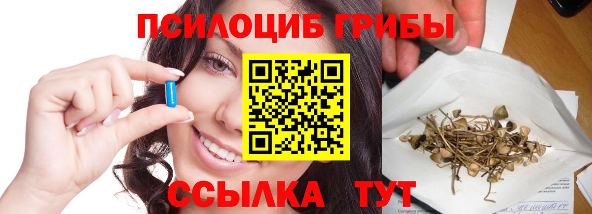 Галлюциногенные грибы Magic Shrooms Сочи